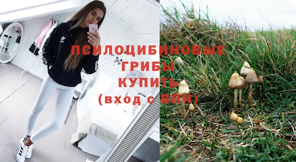 гашишное масло Покачи
