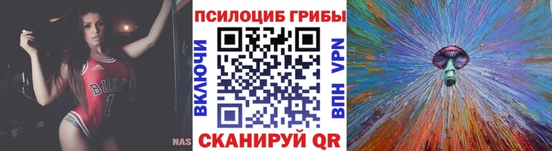 Псилоцибиновые грибы GOLDEN TEACHER  Сосновоборск 
